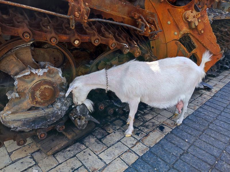 O capra miroase echipament militar rusesc capturat la Kiev, Foto: Ukrinform / Shutterstock Editorial / Profimedia