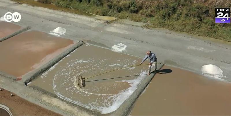 fermier de sare din Franta, Foto: Captura video
