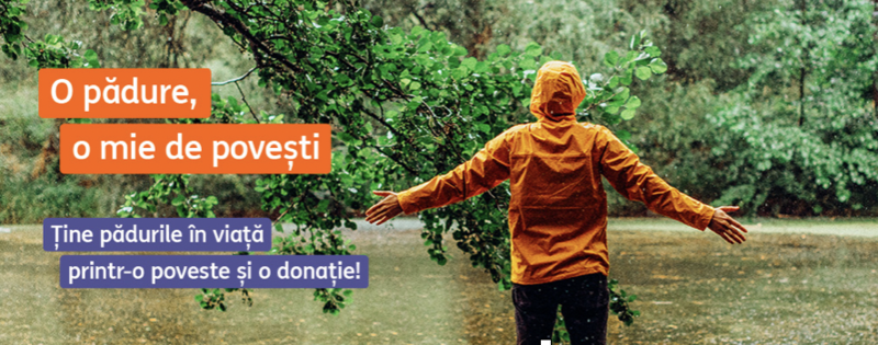 O pădure, o mie de povești , Foto: ING Bank