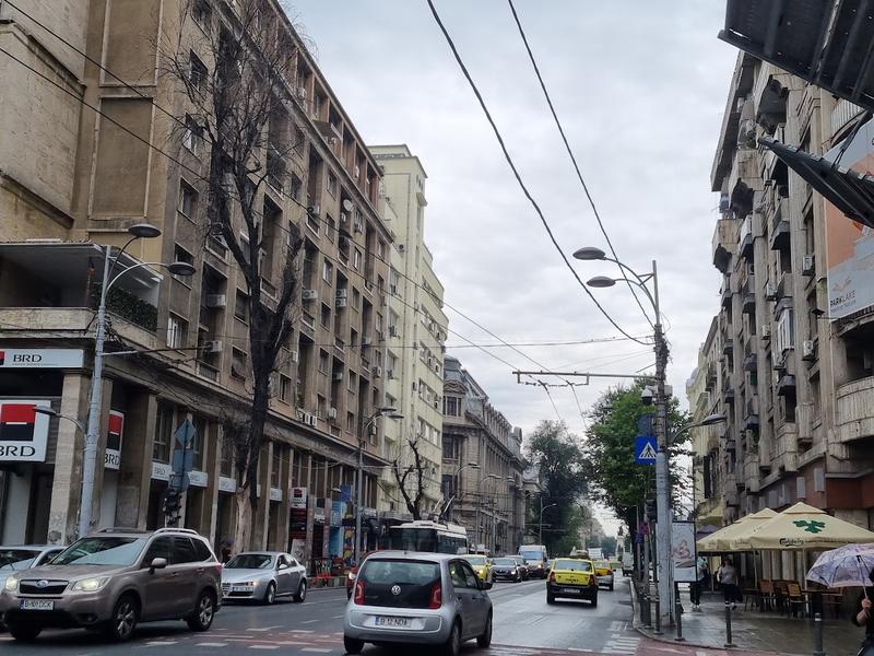 Copaci uscați bd. Elisabeta 11, Foto: Hotnews