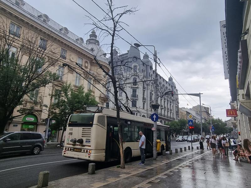 Copaci uscați bd. Elisabeta 5, Foto: Hotnews