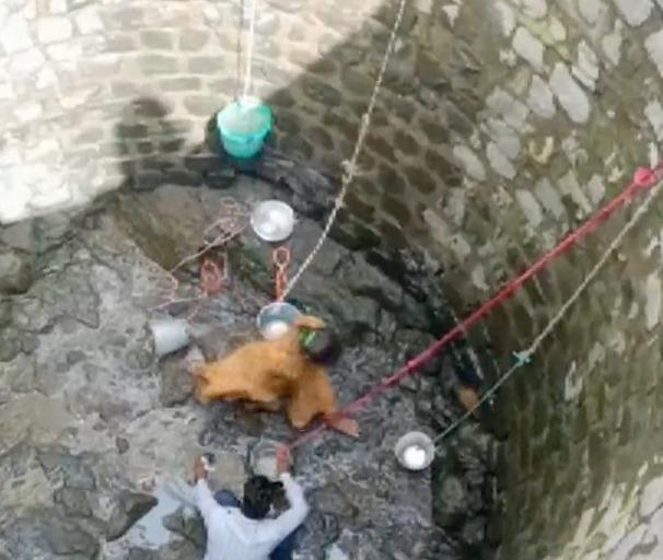 O femeie din India a escaladat peretele unei fântâni ca să ia apă, Foto: Captura