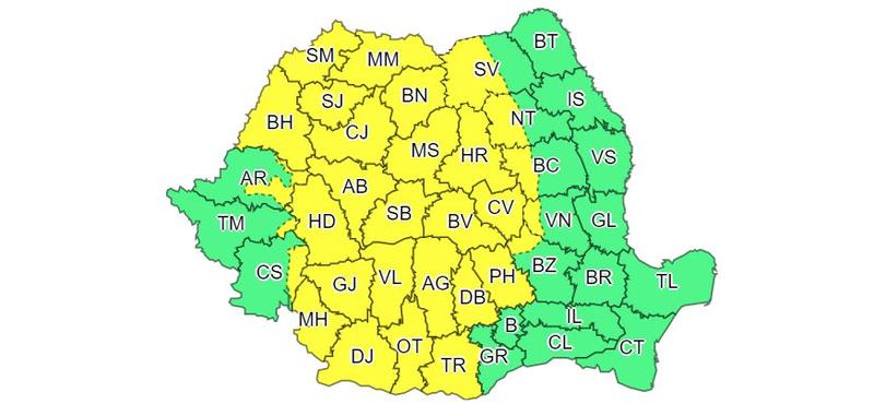 Cod galben de vijelii, Foto: ANM