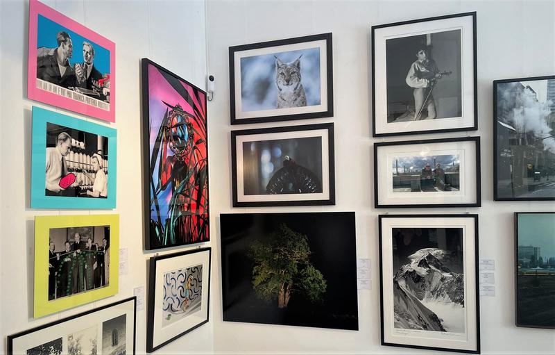 Expoziția de Fotografie la Palatul Cesianu-Racoviță, Foto: Artmark