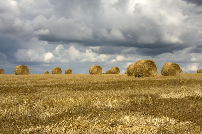 Furtuna, Foto: Rixie, Dreamstime.com