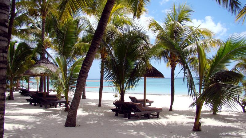 Plajă din Punta Cana, Republica Dominicană, Foto: Dreamstime.com