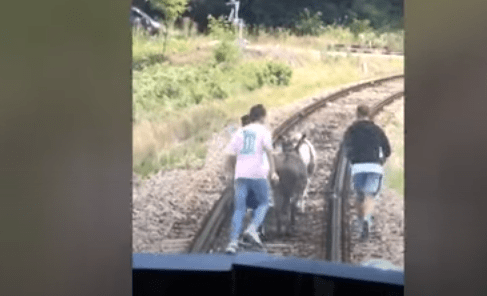 Incident tren, Foto: Bihoreanul