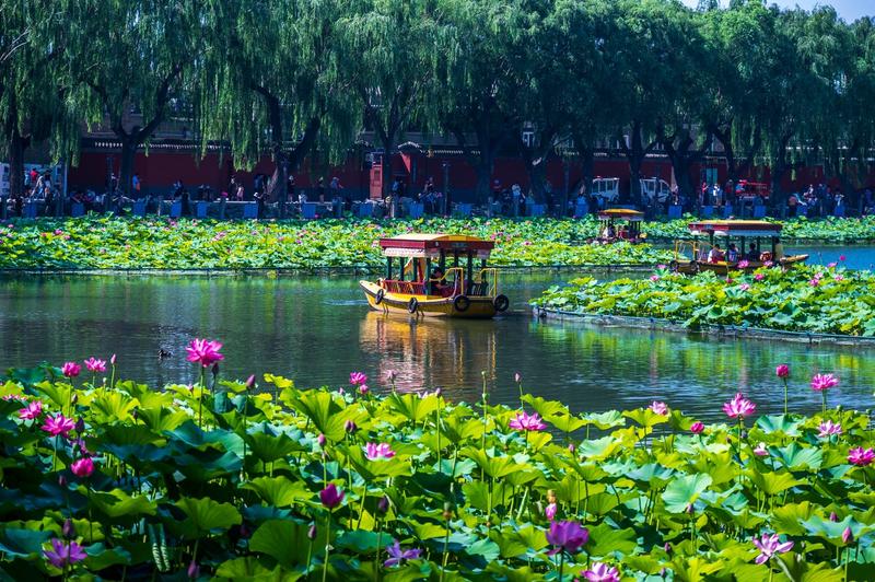 Imagine din Beihai City, China, Foto: Profimedia Images