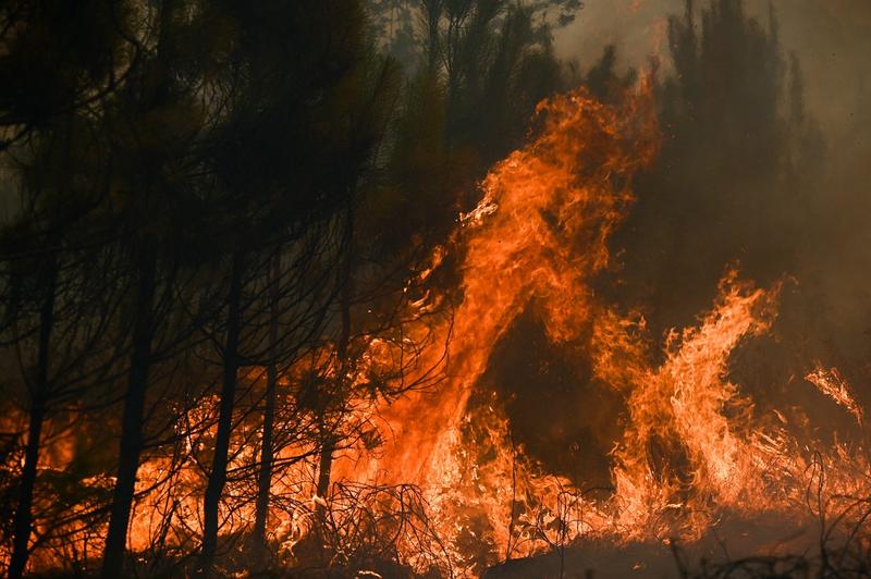 Incendii in sudul Frantei , Foto: Philippe Lopez / AFP / Profimedia Images