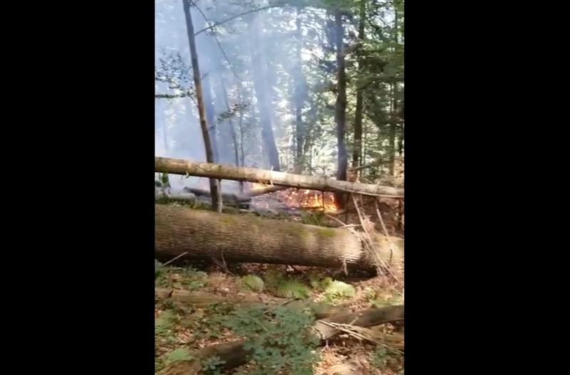 Incendiu la Piatra Arsa, Foto: Captura video