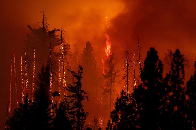 Incendiu forestier in California, Foto: DAVID MCNEW / AFP / Profimedia Images