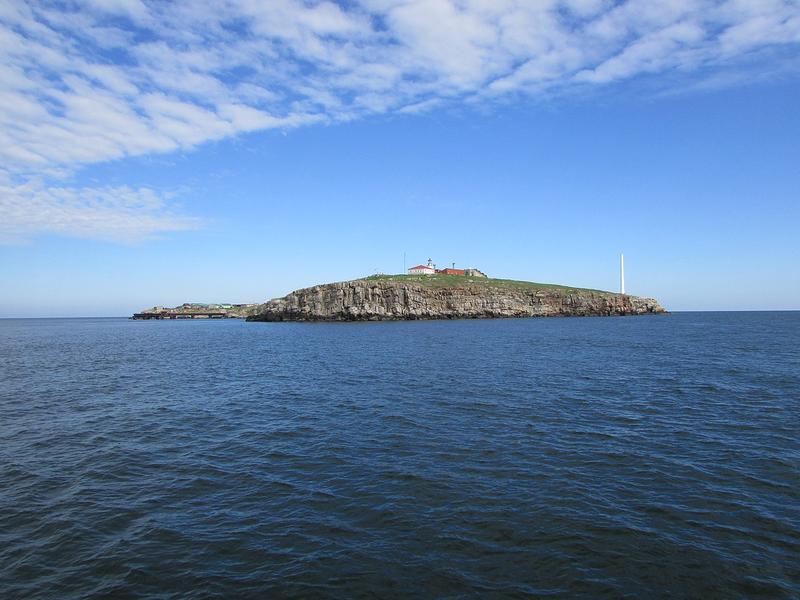 Gazele din Marea Neagră, în pericol pentru un izvor de apă din Insula Șerpilor. Cum era să piardă România zăcămintele de hidrocarburi, Foto: fanatik.ro
