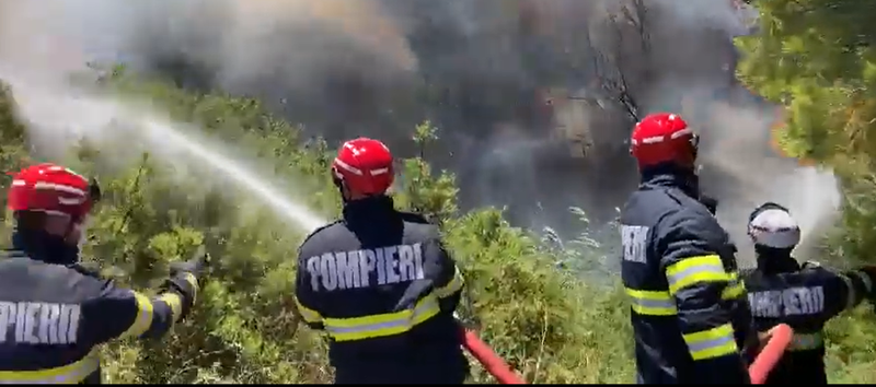 pompierii romani intervin pentru a stinge un incendiu la nord de Atena, Foto: Captura video
