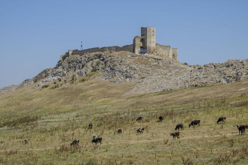 Cetatea Enisala, Foto: Stebati17, Dreamstime.com