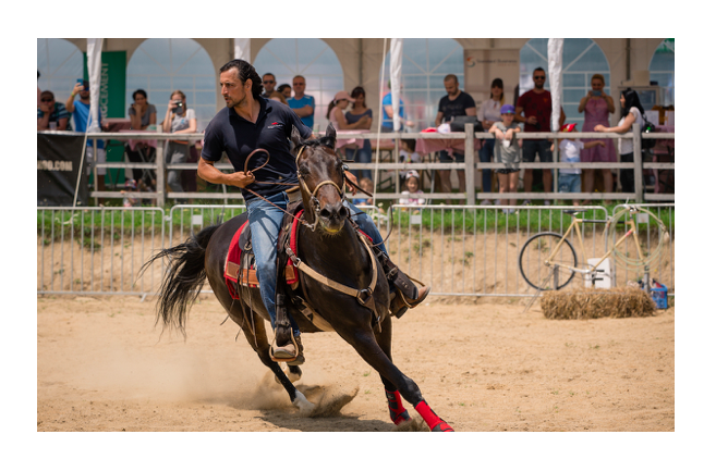 Denis Ștefan, invitat la Haidook Summer Fest, Foto: Haidook Summer Fest