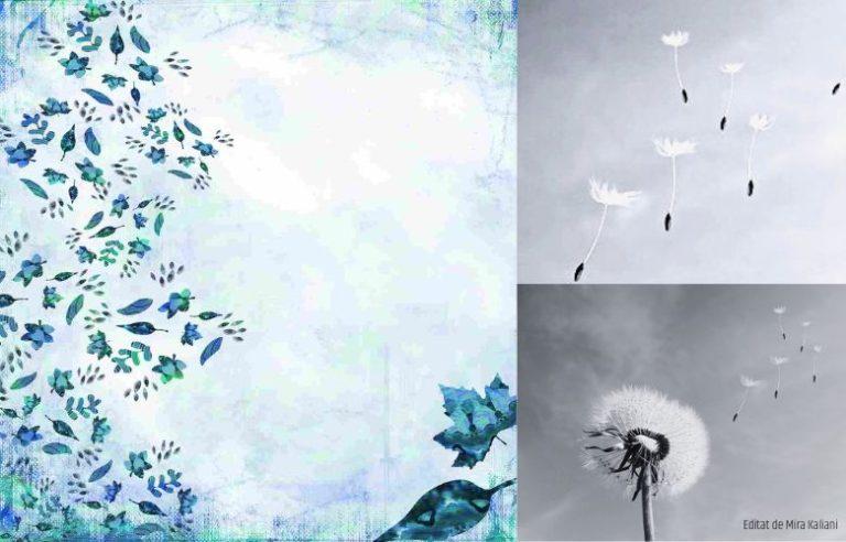 Ce vant te aduce..., Foto: Editiadedimineata/Mira Kaliani