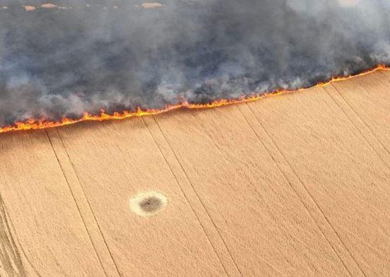 Culturi de cereale incendiate, Foto: EuromaidanPress