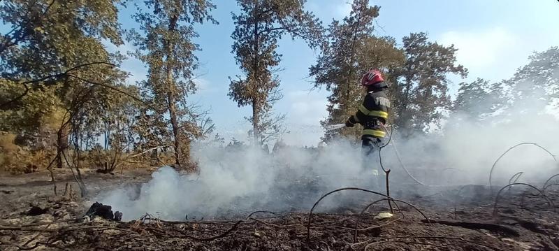 Stingere incendiu de vegetatie, Foto: Facebook/ Inspectoratul General pentru Situatii de Urgenta