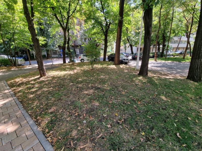 Gazon curtile blocurilor 6, Foto: Hotnews