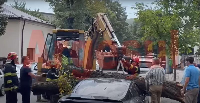 Un copac a căzut peste o mașină de lux parcată pe o stradă din Pitești, Foto: Captură video YouTube Ziarul Argeșul