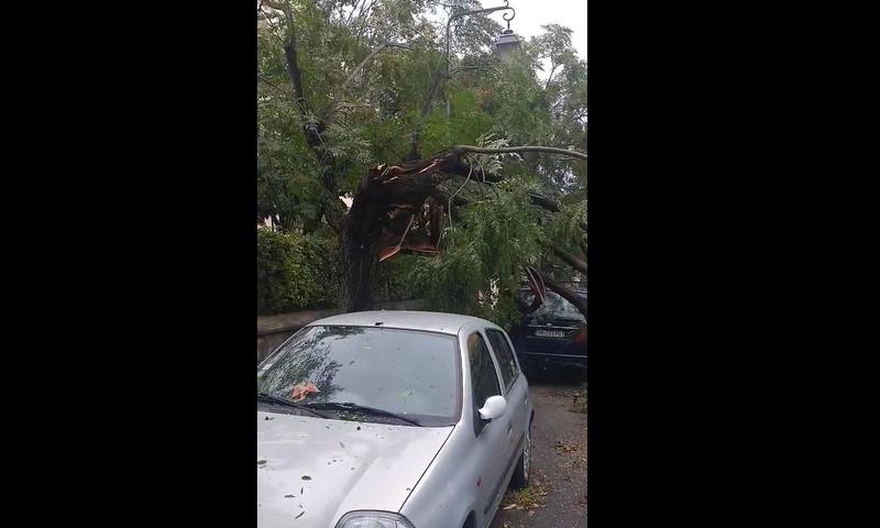 O furtună a măturat Corsica, Foto: Captură video Facebook