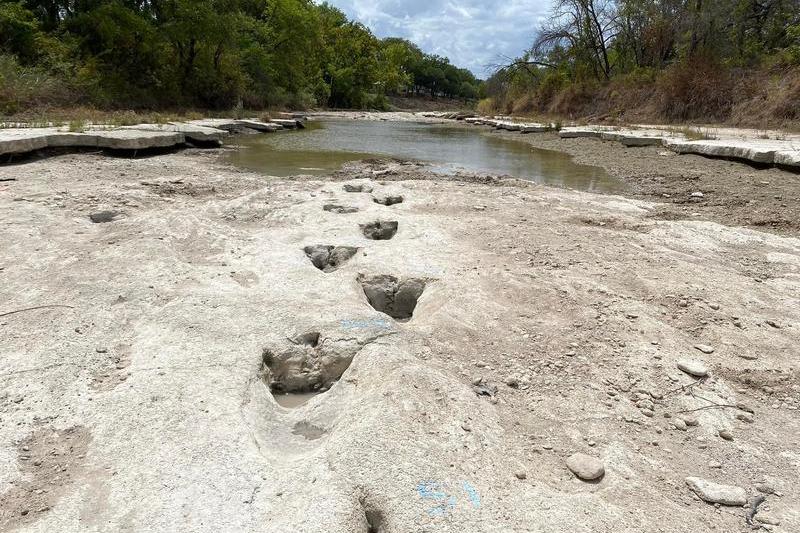 Urme uriașe ale dinozaurilor care au trăit în Cretacicul timpuriu, descoperite în albia unui râu din Texas, Foto: Handout / AFP / Profimedia