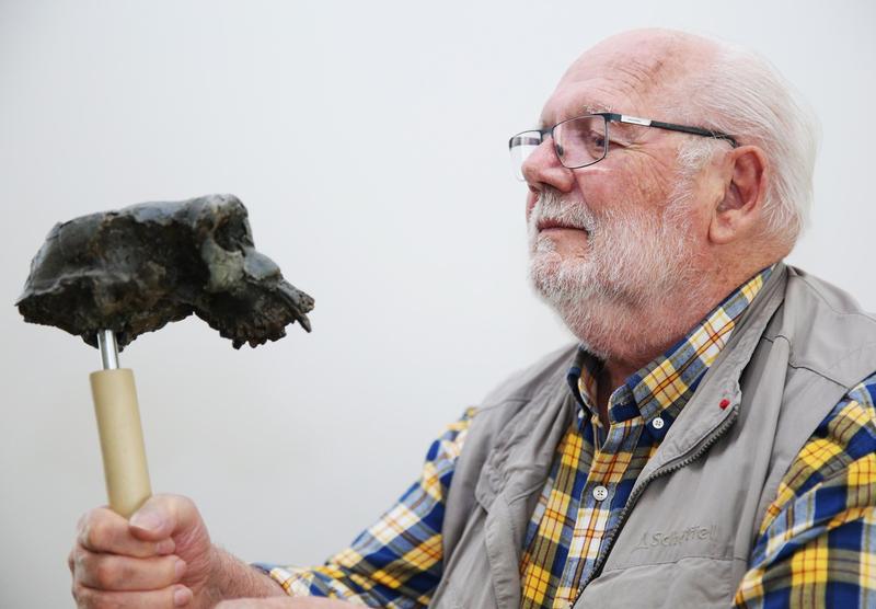 Sahelanthropus tchadensis, Foto: Profimedia Images