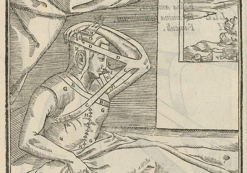 Rinoplastie- Metoda italiana., Foto: Wikipedia- Typ 525.97.820, Houghton Library, Harvard University