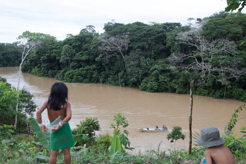 Jungla amazoniana, Foto: Profimedia Images