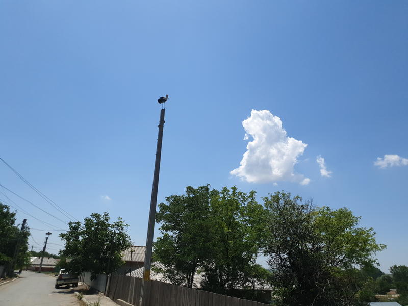 Strada in sat, Foto: Hotnews