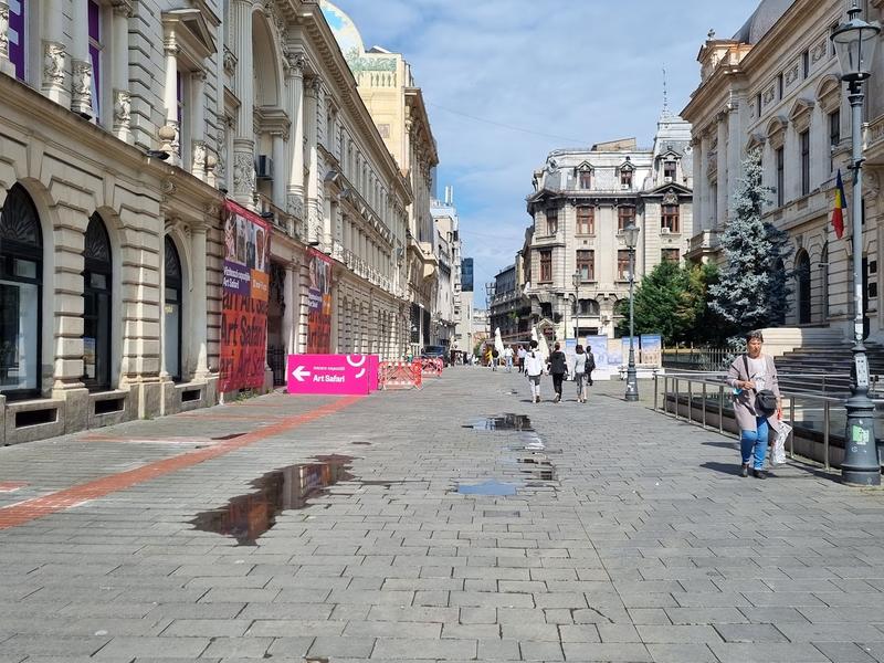 Pinacoteca Municipiului București, Foto: Hotnews