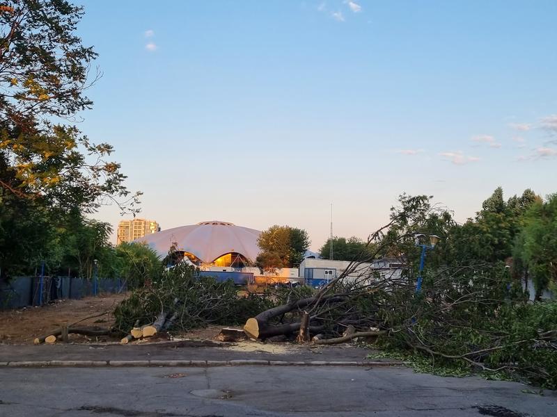 Defrișare fosta menajerie a Circului - 4, Foto: Hotnews