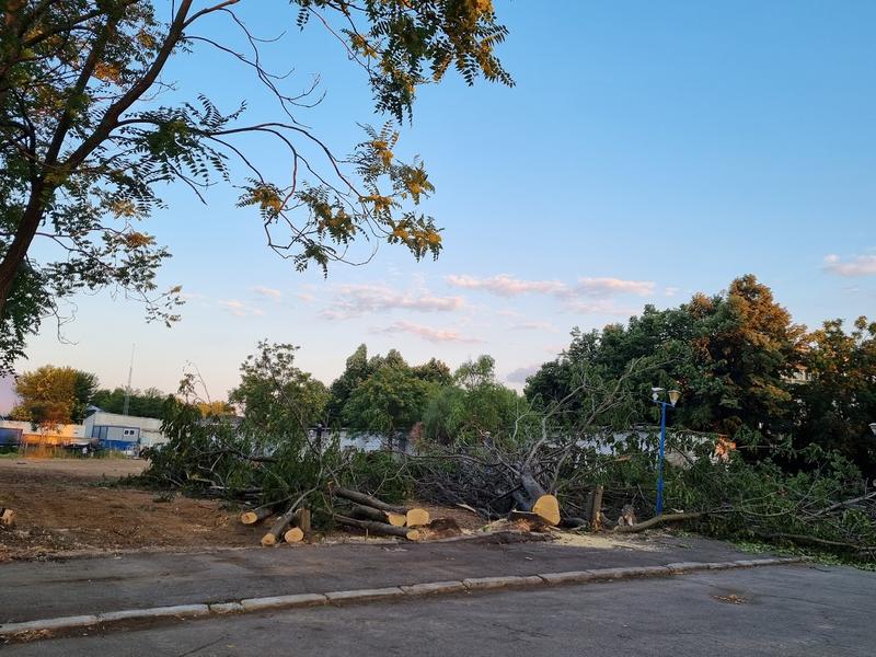 Defrișare fosta menajerie a Circului - 6, Foto: Hotnews