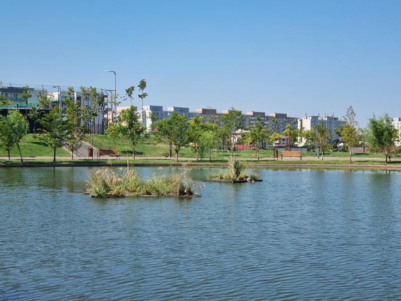 Parcul Teilor 2022 -5, Foto: Hotnews