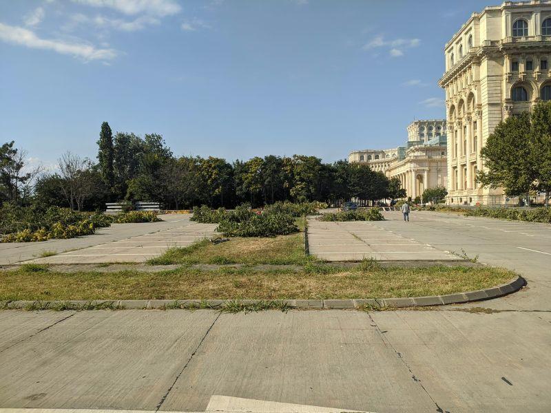 Copaci taiati la Senat, Foto: Facebook / Adrian Baboi-Stroe