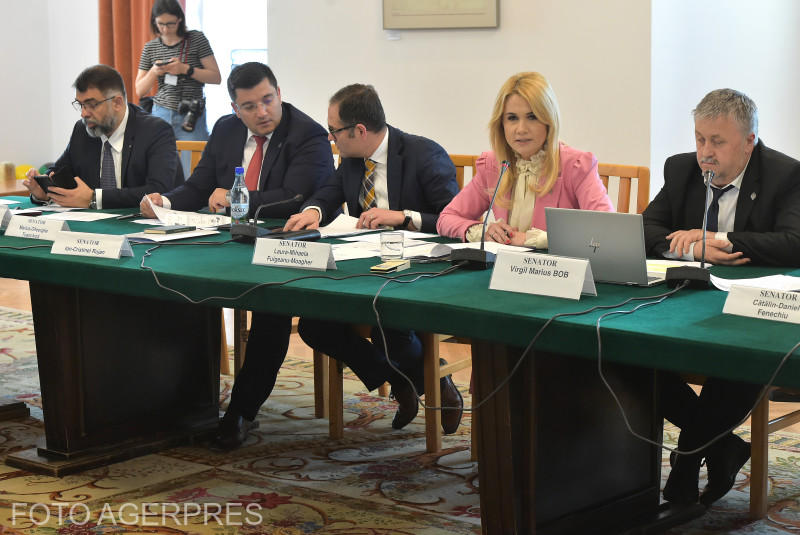 Membrii comisiei juridice a Senatului, Foto: AGERPRES