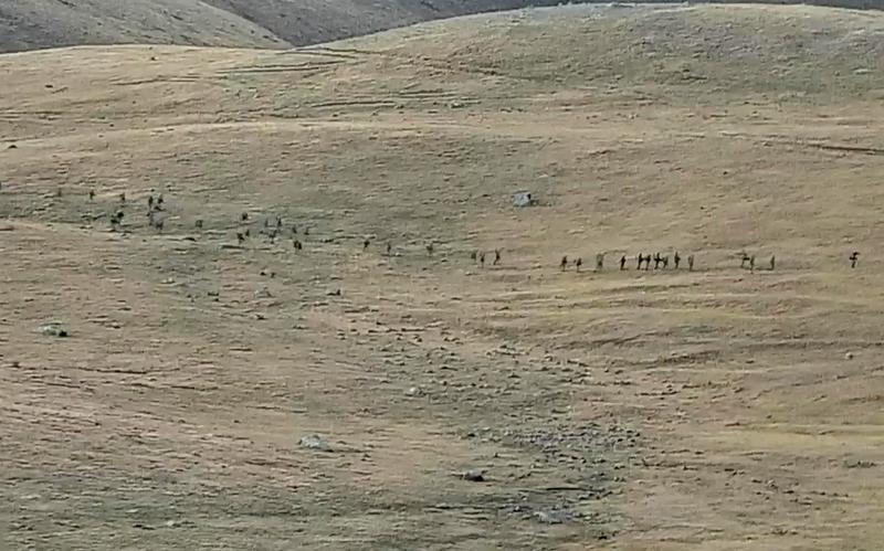 Soldați azeri trecând granița pentru a ataca pozițiile armene, Foto: Armenian Defense Ministry / AP / Profimedia