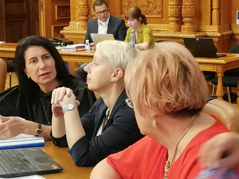 Comisia parlamentară -legile justiției, magistrați și procurori, Foto: Hotnews