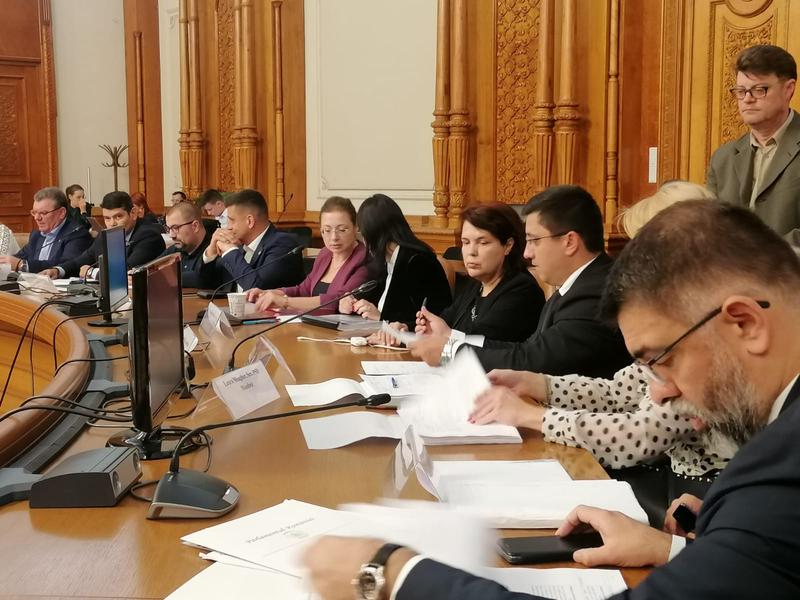 Dezbateri legile justiției, parlamentari PSD și AUR , Foto: Hotnews