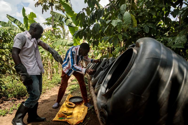 Fermieri din Uganda, Foto: BADRU KATUMBA / AFP / Profimedia