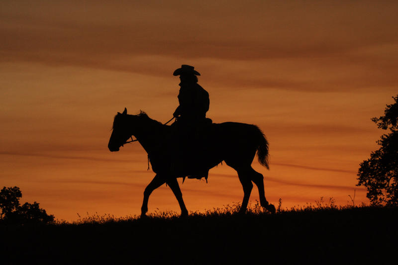 cowboy, Foto: Rinus Baak | Dreamstime.com