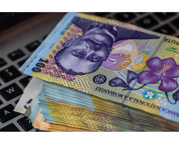 lei-calculator-Vlad Ispas- Dreamstime, Foto: Dreamstime.com