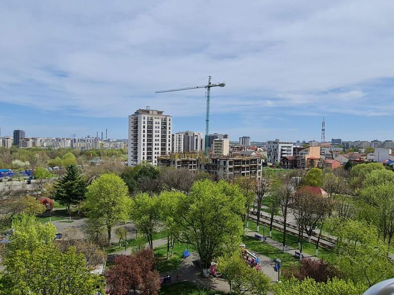 Copaci în oras, Foto: Vlad Barza / HotNews.ro