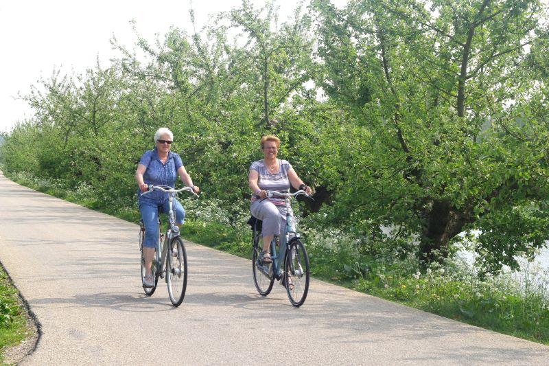 Cicloturism în Olanda, Foto: Inge Hogenbijl | Dreamstime.com