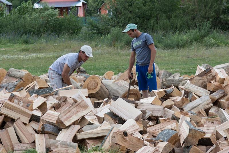 Lemne taiate pentru iarna, Maramures, Foto: Alamy / Profimedia