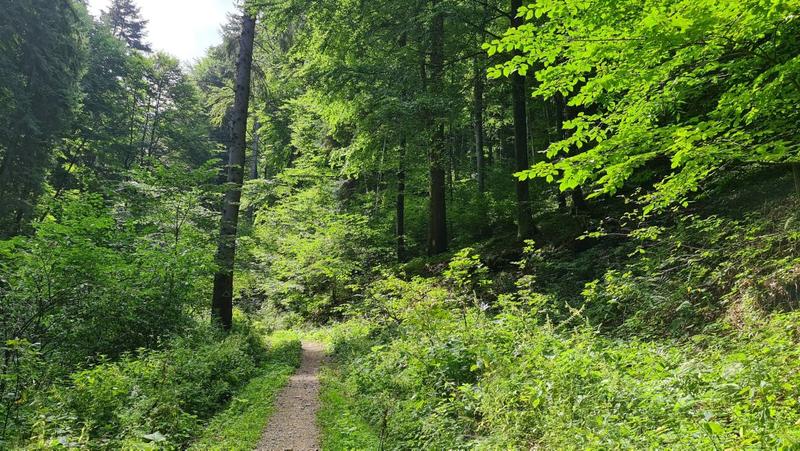 Peisaj de august, Foto: Vlad Barza / HotNews.ro