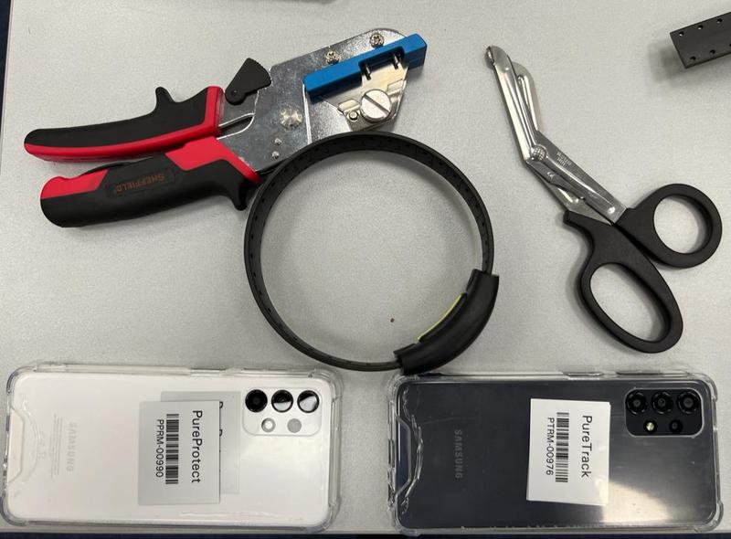 sistem electronic de monitorizare, Foto: IGPR