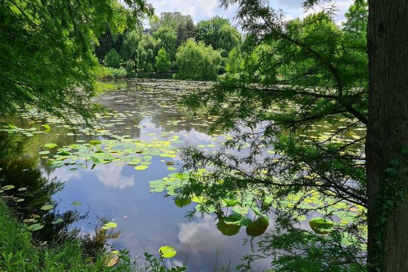 La lac, Foto: Vlad Barza / HotNews.ro