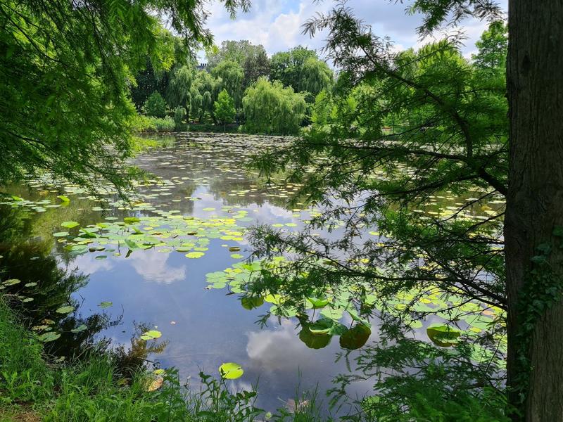 La lac, Foto: Vlad Barza / HotNews.ro