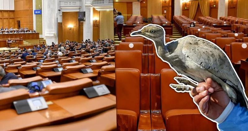 Topul chiulangiilor din Parlament, Foto: Colaj fanatik.ro